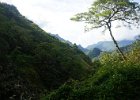 i Tahiti (6)